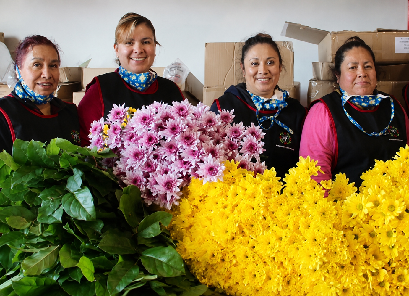 Staff at Maciel’s Flowers standing behind bundles of colorful chrysanthemums and greenery.