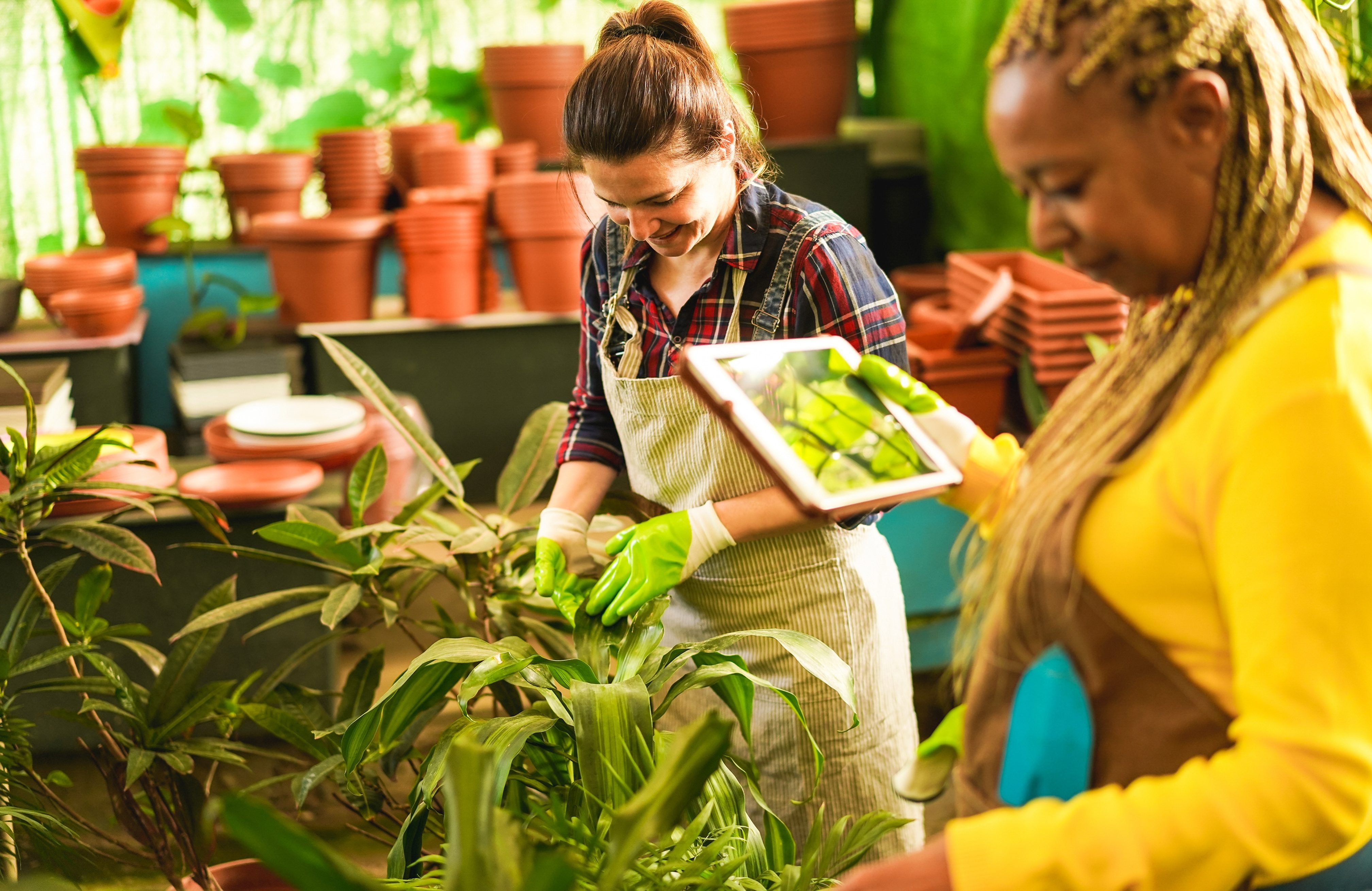 Two women tending and inspecting plants inside a garden center or greenhouse.